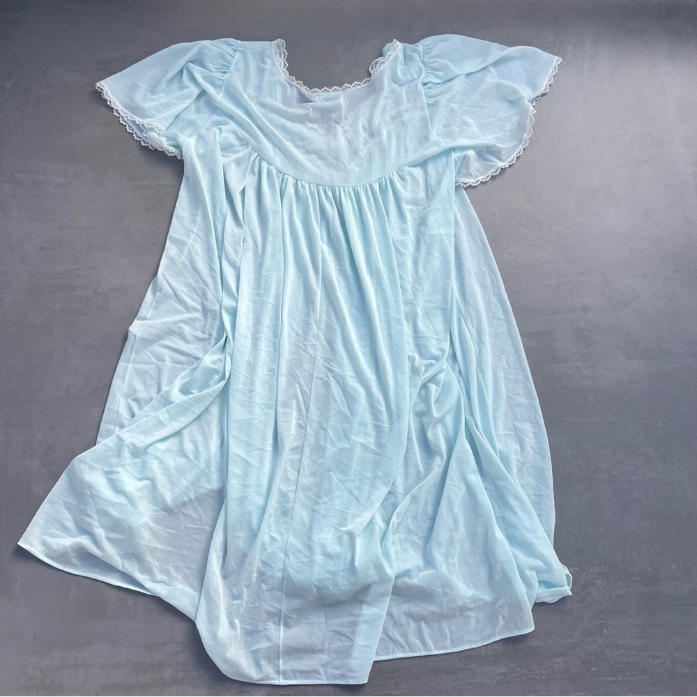 Miss Elaine Sheer Vintage Nightgown - Picture 3 of 3